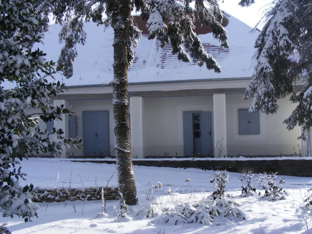 Bagolyvar Fogado- Ujfalusy Marton Vendeghaz Zirc Exterior photo