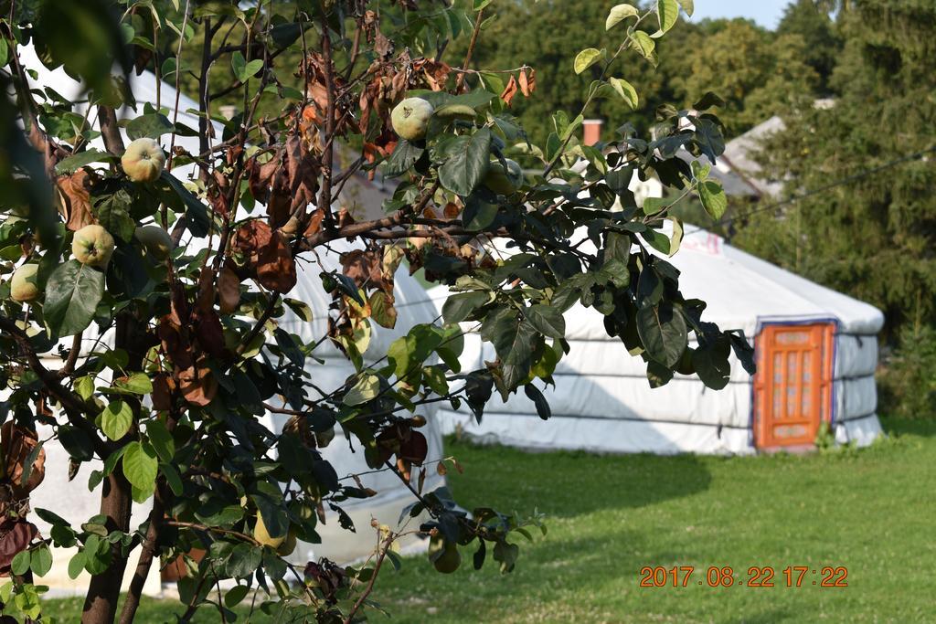 Bagolyvar Fogado- Ujfalusy Marton Vendeghaz Zirc Exterior photo