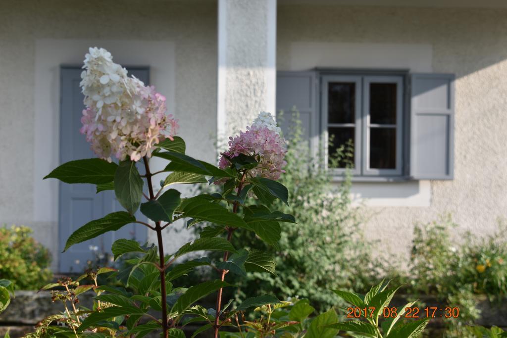 Bagolyvar Fogado- Ujfalusy Marton Vendeghaz Zirc Exterior photo